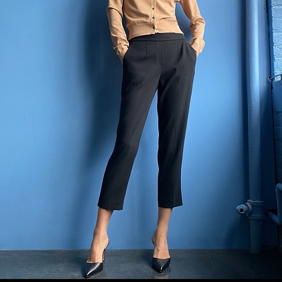 Aritzia Pants - Aritzia Babaton Conan pant